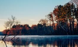 郑博士2019年11月27日生肖运势