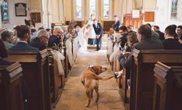 Pandora占星小巫一周塔罗运势（12.16-12.22）