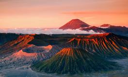 雪莱2020年十二星座运势