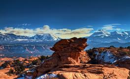 苏珊米勒每日运势2020年1月21日