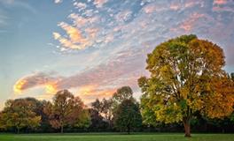 董易林2020年1月24日生肖运势