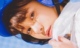 在感情中受了伤，也绝不会分手的生肖