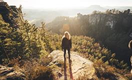 紫微14主星一周运势（2.17-2.23）