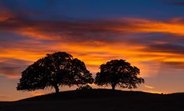 苏珊米勒一周星座运势（2.24-3.1）