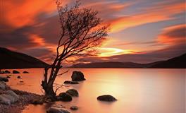 苏珊米勒每日运势2020年8月6日