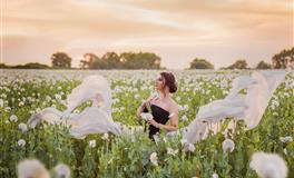 苏珊米勒2020年7月十二星座运势完整版