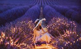 婚后成家立业事业有成的三个生肖