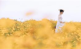 不会轻易分手，一旦在一起，就把对方当成未来的四个星座