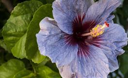 揭秘12星座的脾气哪点最得罪人？