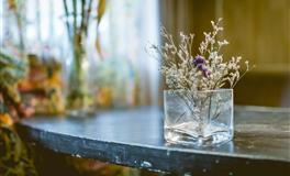 说一不二，不会迁就人的三大星座