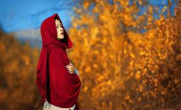 超宠老婆的星座男，不嫁后悔