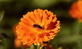 为感情增添激情，保持恋爱的仪式感，12星座该如何做？