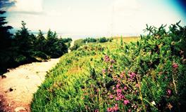 心理测试：在沙漠渴了一天，最想喝哪杯饮料，测你最近有什么好事到来