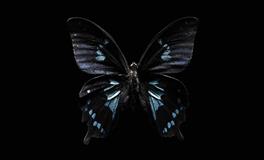 容易有社交恐惧症的星座，喜欢一个人待着，不太合群儿