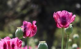 12星座如何才算真正爱过？12星座对你有意思的表现