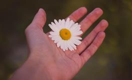 遇不到对的人，总是爱错人的星座，被甜言蜜语哄骗