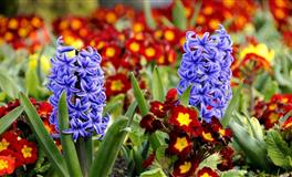 这些星座需要被放养，管得越紧，跑得越快