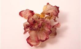 12星座好骗指数，看看究竟谁最容易上当受骗