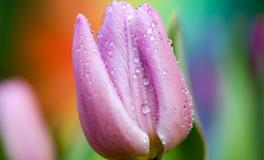 人生建议：千万别和处女座，硬碰硬！