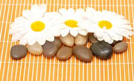 一见钟情易，相知相守难的星座组合