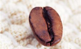 优雅有魅力，就像小仙女的3星座，才德兼备，智商爆表，人见人爱