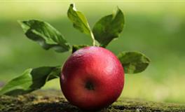 善于用苦肉计来征服另一半的星座