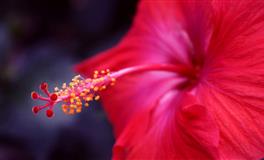 有魅力！极有异性缘的三大星座女