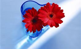 喜欢交朋友，超级好相处的星座