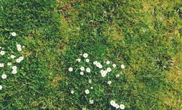 活到老学到老，有“学霸”潜质的四大星座，越长大越有本事