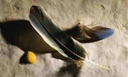 有钱了也不会忘提携亲朋好友的大腿星座！