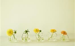 11月底异性缘飙升，真爱到家，幸幸福福携手生活的4大星座