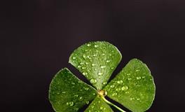 万圣节过后，运势开始衰退的星座