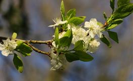李云天今日生肖运势2020年9月12日