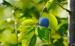 笑着面对生活，不做失败的人生，要做强者的几个星座