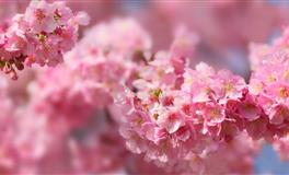 最喜欢“虐心”的星座，越喜欢你越要折磨你，但却让人欲罢不能