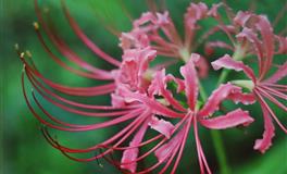 苏珊米勒每日运势2020年9月28日