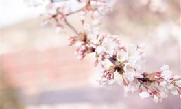 越享受孤独，越能成功的3星座，尤其第一，孤独是他们成功的良药