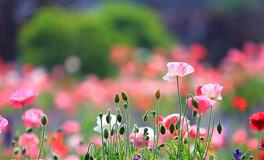 这3大星座，表面上不在乎你，其实每天都在想你