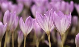 内心孤独，无人能懂的三大星座