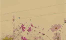 越爱越浅的星座，是不懂珍惜，还是贪图新鲜感