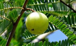 最没上进心的三个星座，整天吊儿郎当，不务正业！