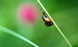 越是主动，越是排斥的星座，谁最强势霸道？