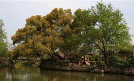 赚钱能力强，生活却很节约的三大星座，看似抠门，实则安全感满满