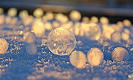 能力出众且有头脑的四大星座，睿智又精明，注定能成为人上人