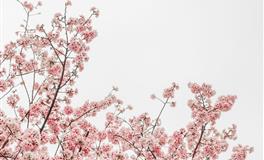 怎么样才能让射手座对你死心塌地？