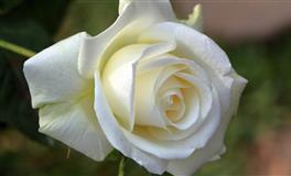 外暖内渣的星座男，一旦变心，处处嫌弃