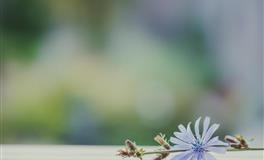 情商智商双高的5大星座，讨人喜欢，有知识有胆量，容易成功