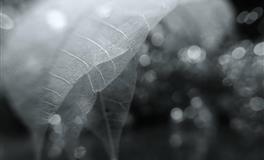 在恋爱中总是被嫌弃的星座，是因为太傻？还是因为占有欲太强？