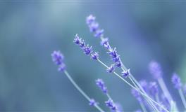 不发威不代表没脾气，这些星座只是没有到爆发的边缘