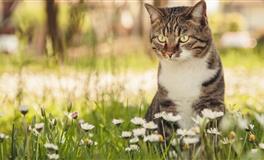 易鑫一周吉凶黄历（10.26-11.1）